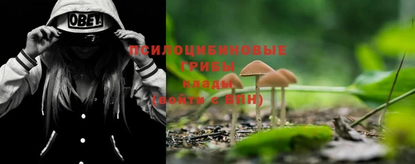 молекула духа Вязьма