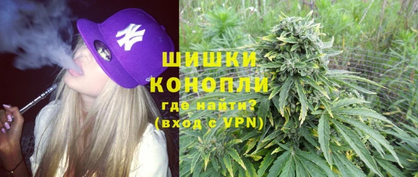 молекула духа Вязьма