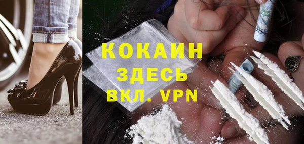 молекула духа Вязьма