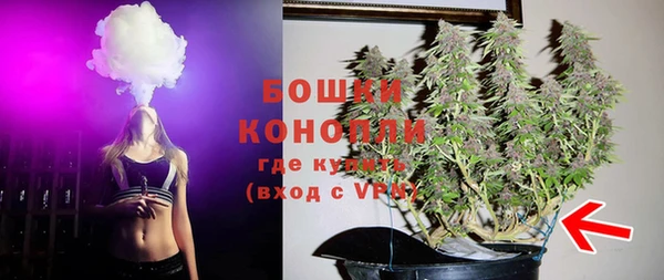 молекула духа Вязьма