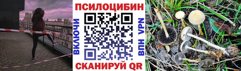 omg ссылки  цена   Джанкой  Псилоцибиновые грибы MAGIC MUSHROOMS 